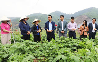 Lãnh đạo tỉnh Bắc Ninh thăm, động viên sản xuất đầu xuân 