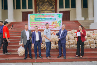 Lãnh đạo xã ở Hưng Yên livestream bán 4,5 tấn khoai tây giúp bà con nông dân