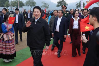 Chủ tịch nước dự lễ phát động Tết trồng cây năm 2026