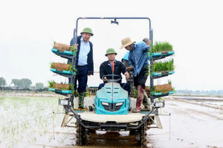 Bí thư, Chủ tịch xã Tây Phương xuống đồng vận hành máy cấy, mừng tuổi bà con nông dân