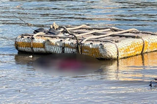 Quảng Trị: Phát hiện thi thể nghi nữ giới tại cửa biển Nhật Lệ