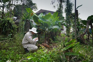 Quảng Trị: Liên tiếp phát hiện bom mìn còn sót lại sau chiến tranh Quảng Trị: Liên tiếp phát hiện bom mìn còn sót lại sau chiến tranh