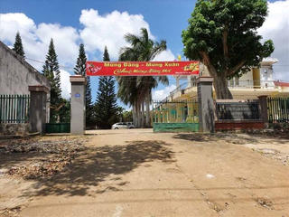 Khởi tố một giám đốc công ty lâm nghiệp để điều tra hành vi nhận hối lộ