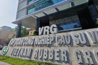 Bài học từ thực tế quản lý tài sản Nhà nước tại VRG Bài học từ thực tế quản lý tài sản Nhà nước tại VRG