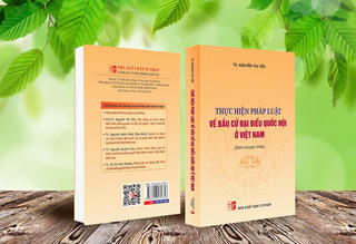 Thực hiện pháp luật về bầu cử đại biểu Quốc hội ở Việt Nam