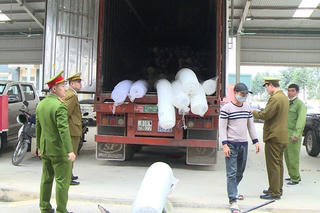 Thanh Hóa: Siết chặt quản lý hoạt động vận chuyển hàng hóa bằng ô tô