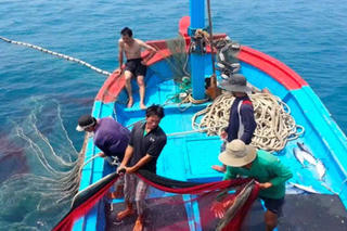 Đoàn thanh tra của EC sắp sang, Việt Nam quyết tâm gỡ 'thẻ vàng' IUU