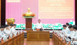 Bộ Chính trị, Ban Bí thư kiểm tra, giám sát Ban Thường vụ Thành ủy Đà Nẵng năm 2026