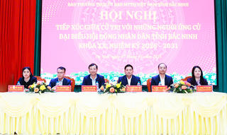 Ứng cử viên HĐND tỉnh Bắc Ninh khóa XX tiếp xúc cử tri tại phường Đa Mai