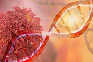 Nỗ lực để giúp phụ nữ khỏi nỗi ám ảnh ung thư