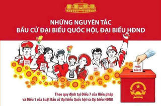 Những nguyên tắc cơ bản trong bầu cử đại biểu Quốc hội và HĐND các cấp