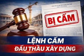 Cấm Công ty Anh Minh tham gia đấu thầu 3 năm vì cung cấp thông tin không trung thực