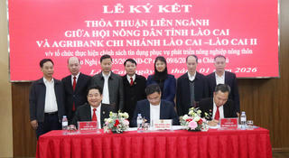 Tổ vay vốn – ‘cánh tay nối dài’ đưa tín dụng Agribank đến với nông dân