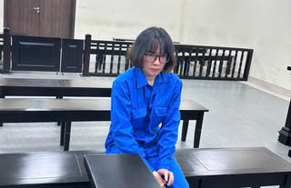 Lãnh 13 năm tù vì lừa mang thai hộ