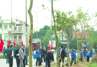 Bắc Ninh tổ chức ngày hội người cao tuổi hưởng ứng phong trào trồng cây năm 2026