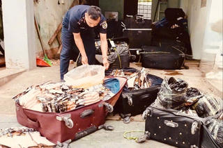 Hải quan liên tiếp phát hiện, bắt giữ hơn 1,8 tấn thực phẩm đông lạnh nhập lậu