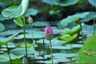 Những điều vô hình chi phối cuộc đời con người