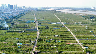 Hà Nội: Phường Hồng Hà quyết liệt xử lý công trình xây dựng không phép trong phạm vi bảo vệ đê điều, bãi sông