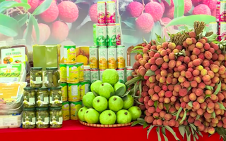 Bắc Ninh triển khai Chương trình OCOP năm 2026 theo hướng bền vững, nâng cao giá trị sản phẩm