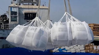 Loạt giải pháp thúc đẩy sản xuất, xuất khẩu gạo trong tình hình mới