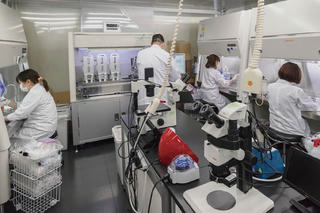 Nền kinh tế tri thức trong kỷ nguyên dữ liệu và trí tuệ nhân tạo 