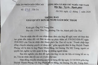 Vụ án '1 khu đất, 2 bản án, 3 đương sự' tại Cần Thơ: Tòa án nhân dân tối cao nêu ý kiến chính thức
