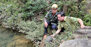Quảng Trị: Thả cá thể rùa cổ sọc quý hiếm về rừng tự nhiên 