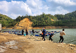 Tiến hành tháo dỡ lồng bè trên hồ Séo Mý Tỷ