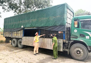 Tuyên Quang: Tạm giữ 5 tấn lạp xưởng "ba không"