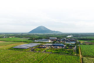 Công ty Cổ phần Đầu tư Thành Thành Công đăng ký bán hơn 43 triệu cổ phiếu SBT