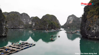 Điểm tin Văn hóa 24/03: Vịnh Bái Tử Long vào top 7 kỳ quan đẹp nhất Đông Nam Á