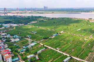 Hà Nội xem xét chuyển một phần đất nông nghiệp sang trồng rừng