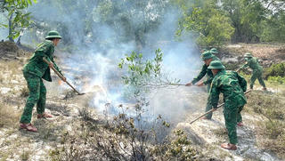 Khống chế kịp thời cháy rừng tràm ở Quảng Trị