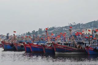 Thanh Hóa nỗ lực gỡ “thẻ vàng” IUU từ việc hiện đại hóa cảng cá
