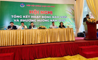 Cần phối hợp chặt chẽ để nâng cao giá trị hạt gạo Việt