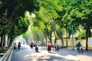 Thời tiết các khu vực trong cả nước 10 ngày tới