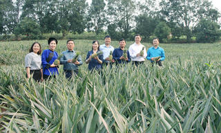 Bắc Ninh: Nhân rộng mô hình OCOP, thúc đẩy kinh tế nông nghiệp từ thực tiễn cơ sở