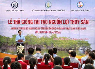 Quảng Ninh: Tích cực hưởng ứng thả con giống tái tạo nguồn lợi thủy sản