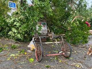 Lào Cai: Nữ lao công liều mình cứu 2 học sinh giữa cơn lốc xoáy