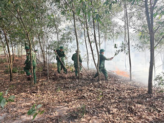 Bộ đội Biên phòng Quảng Trị kịp thời dập tắt cháy rừng, hạn chế thiệt hại