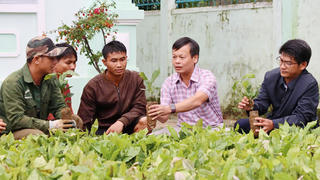 Quảng Ngãi: Tổ chức giải Pickleball kiến tạo vườn cà phê đặc sản cho đồng bào Xơ Đăng