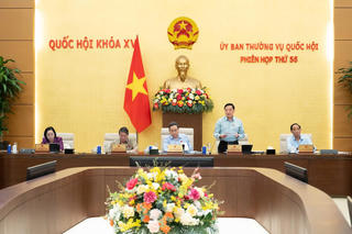 Đánh giá chính xác, đầy đủ, toàn diện về thực trạng hệ thống văn bản quy phạm pháp luật