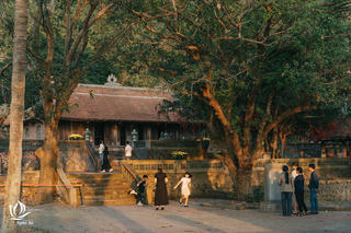 Nghệ An: Phê duyệt dự án hơn 31 tỷ đồng tu bổ, tôn tạo Di tích lịch sử Chùa Song Ngư 