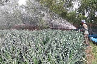 Hưng Thạnh (Đồng Tháp): Nhiều điểm sáng trong phát triển kinh tế - xã hội 