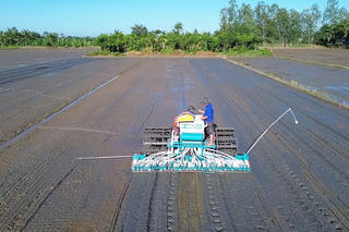 Đồng bằng sông Cửu Long: Nhân rộng mô hình áp dụng gói kỹ thuật công nghệ cao trong trồng lúa