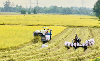 Lan tỏa sức mạnh dòng vốn ưu đãi ở An Giang