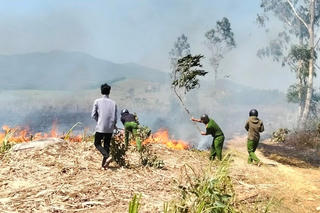 Nguy cơ cháy cánh đồng mía các tỉnh phía Đông tỉnh Đắk Lắk