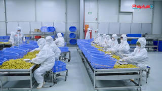 Ăn cùng bà Tuyết: Doanh nghiệp chân chính kiến tạo thị trường minh bạch