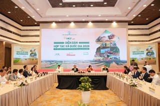 Hoàn thiện cơ chế thúc đẩy liên kết hợp tác xã và doanh nghiệp tư nhân