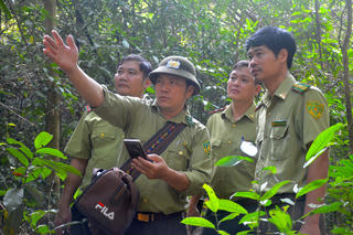 Đỉnh điểm mùa khô, Đồng Nai ra văn bản hỏa tốc phòng cháy rừng
